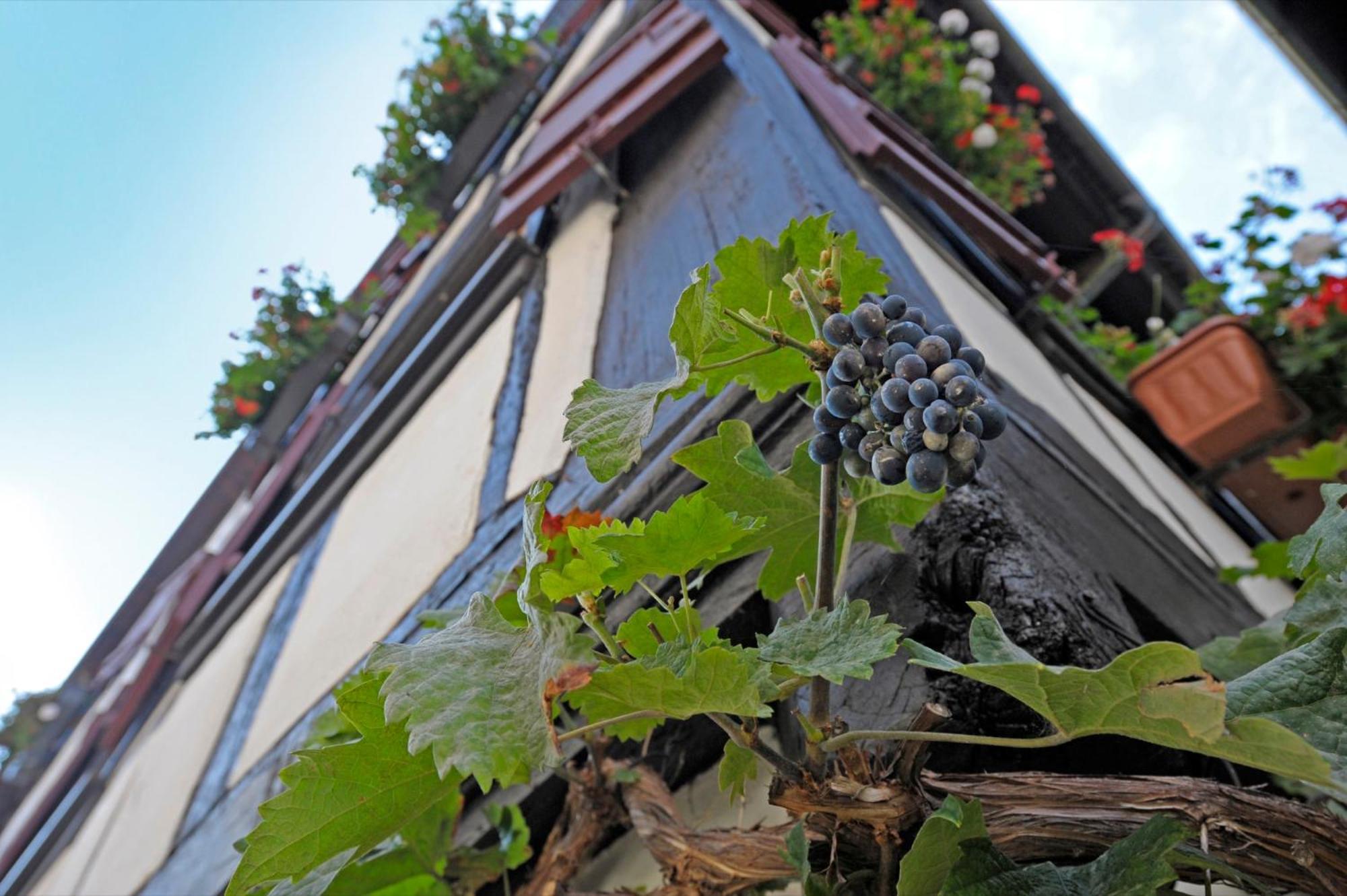 Strumpfweberhaus Schiltach Bagian luar foto